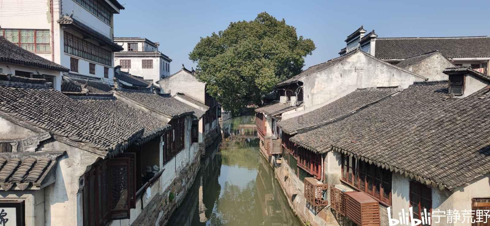 高青子：在沈从文与张兆和婚姻中耗费8年青春，结局并非全身而退
