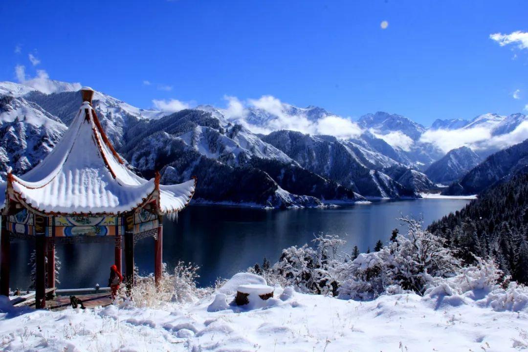 1/3÷5的商-x的差加1/3，除以5 -x的差乘1/4减x等于1-2/3-2/3×4怎么解？游戏画面